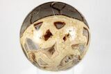 Crystal Filled, Polished Septarian Sphere - Utah #200204-2